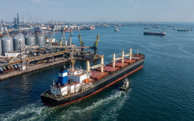 Ukraine Dispatches 11 Ships with Food Supplies to Asia and Africa