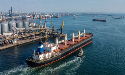 Ukraine Dispatches 11 Ships with Food Supplies to Asia and Africa