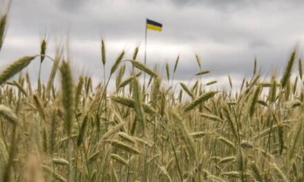 Russia Profits Nearly $1 Billion from Stolen Ukrainian Grain