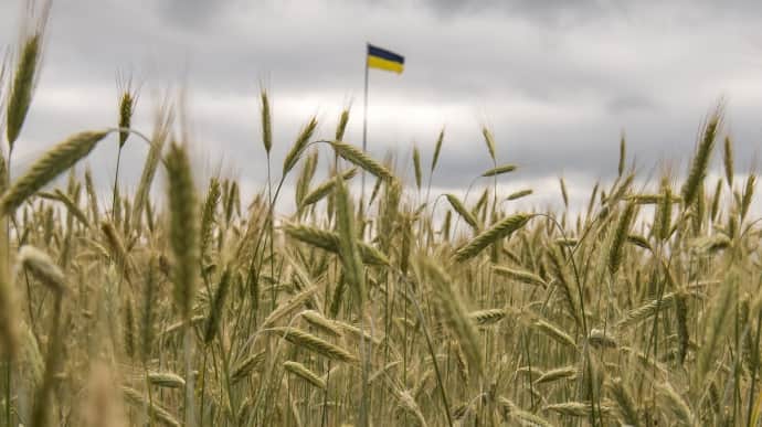 Russia Profits Nearly $1 Billion from Stolen Ukrainian Grain