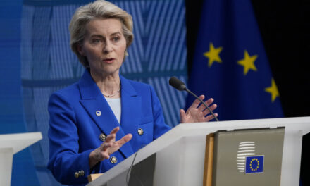 Create a CIA-style European spy service, von der Leyen is told