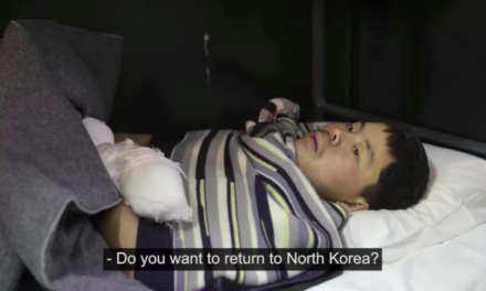 Zelenskyy shares footage of North Korean POWs being interrogated and proposes prisoner swap – video