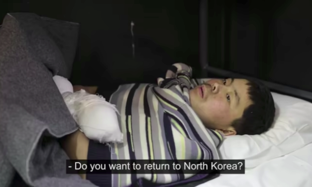 Zelenskyy shares footage of North Korean POWs being interrogated and proposes prisoner swap – video