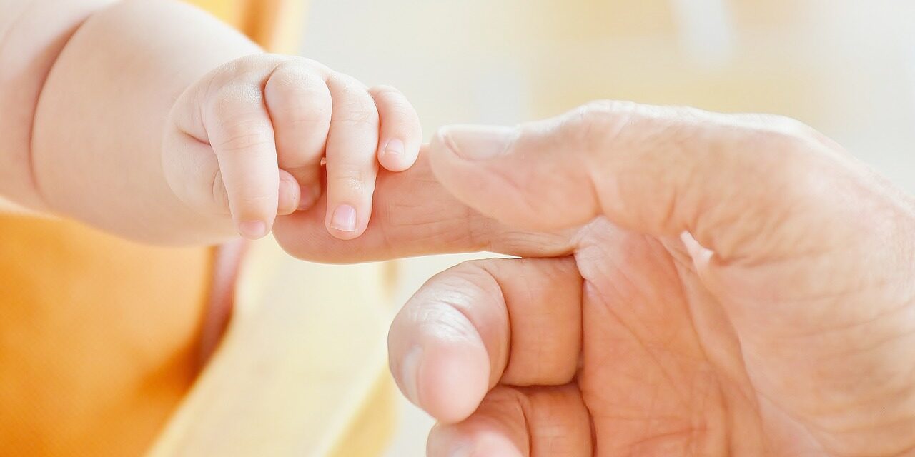 Mortality in Ukraine in 2024 is three times higher than the birth rate
