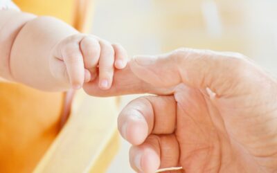 Mortality in Ukraine in 2024 is three times higher than the birth rate