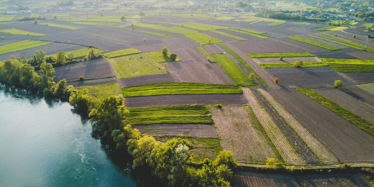 In 2024, agricultural products accounted for 59% of total exports