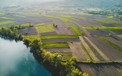 In 2024, agricultural products accounted for 59% of total exports