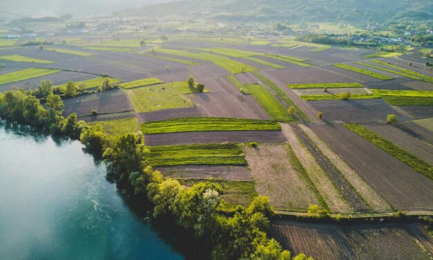 In 2024, agricultural products accounted for 59% of total exports