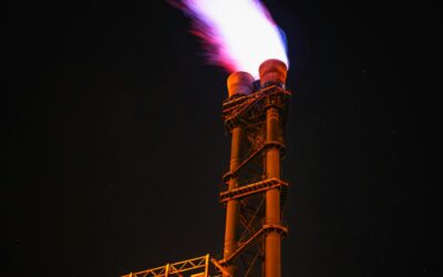 Russia resells more gas in Europe after cutting off Austria, sources, data show