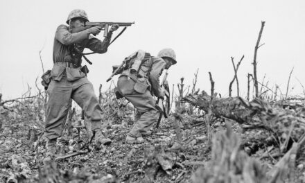 Russian Offensive Campaign Assessment, November 17, 2024