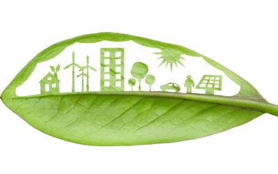 Canada and EU Strengthen Collaboration for Green Energy Transition