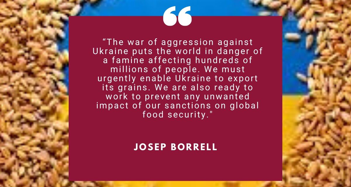 Borrell: Ending Russian Aggression Is Central to Tackling the Food Crisis